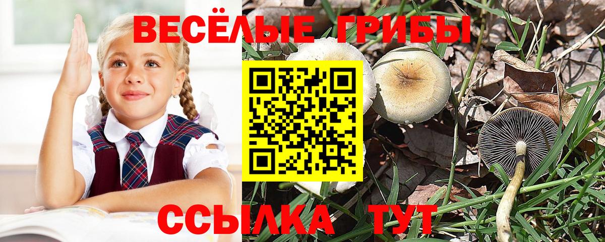 Псилоцибиновые грибы Magic Shrooms Новочебоксарск